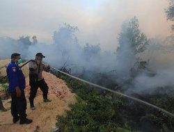 Tahun ini Luas Karhutla di Riau Turun 12,09 Persen