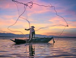 Produksi Ikan Riau Capai 242.882,54 Ton