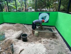 Renovasi Pondok Pelestarian Penyu di Pulau Sabira Capai 95 Persen