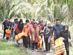 Sebagai Bentuk Kepedulian, Bupati Kasmarni Kunjungi Kampung Tertua Dusun Bagan Benio