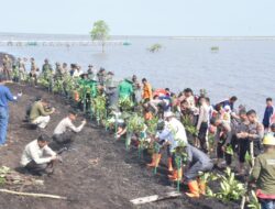 Bupati Kasmarni Sambut Baik Penanaman Mangrove Program TNI AD