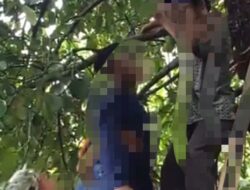 Geger, Warga Koto Baru Semerep Kerinci Temukan Seorang Pria Tergantung di Pohon Manggis
