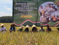 Danrem dan Dandim Pemalang Panen Raya Padi di Lenggerong