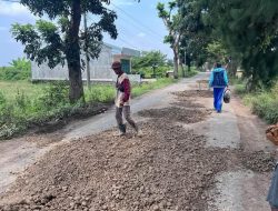Jadikan Momentum Pererat Silaturahmi, Kades Loning Sambangi Warga Saat Swadaya Gotong Royong Tambal Jalan
