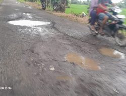 Jalan Penghubung Desa Limbangan–Ketapang Berlubang, Warga Minta Perbaikan Merata